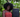 Roots of Change: Let’s Plant for the Future - Laflore Paris