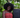 Roots of Change: Let’s Plant for the Future - Laflore Paris